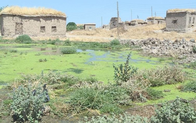 بەهۆی شەڕەوە کوردانی ئێزدی رۆژئاوای کوردستان گوندەکانیان چۆڵدەکەن